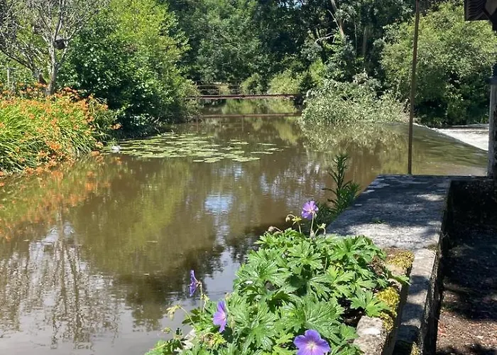 Belle Maison Au Bord De L'eau